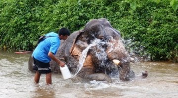 Vietnam Dental